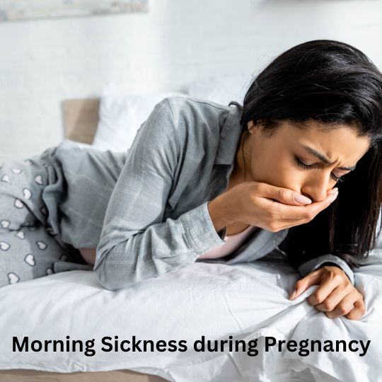 Morning Sickness During Pregnancy Causes and Remedies